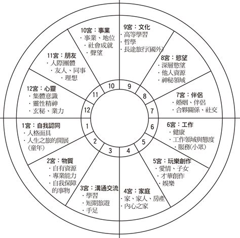 星象學|占星學:占星術,簡介,星盤,星體,宮位,相位,背景,辯證,沿。